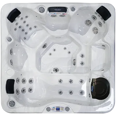 Avalon EC-849L hot tubs for sale in Kenosha