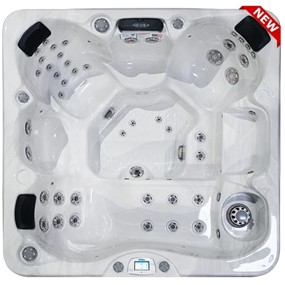 Avalon-X EC-849LX hot tubs for sale in Kenosha