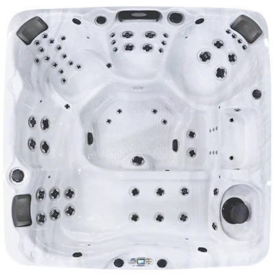 Avalon EC-867L hot tubs for sale in Kenosha